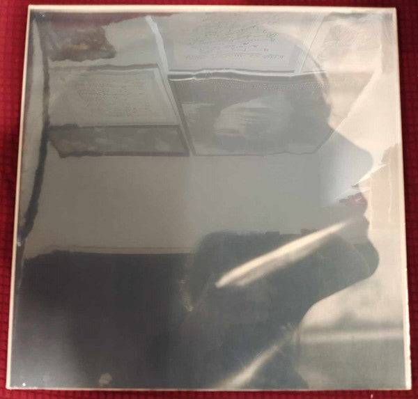 Sarah Blasko- I Just Need To Conquer This Mountain { VINYL LP }