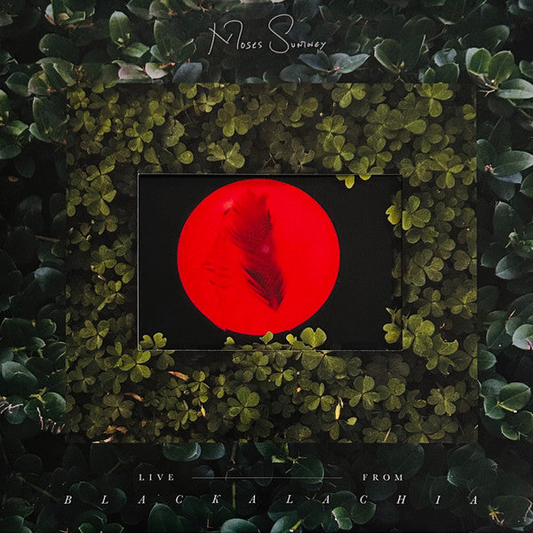 Moses Sumney- Live From Blackalachia - Opaque Red Colored Vinyl { VINYL LP }