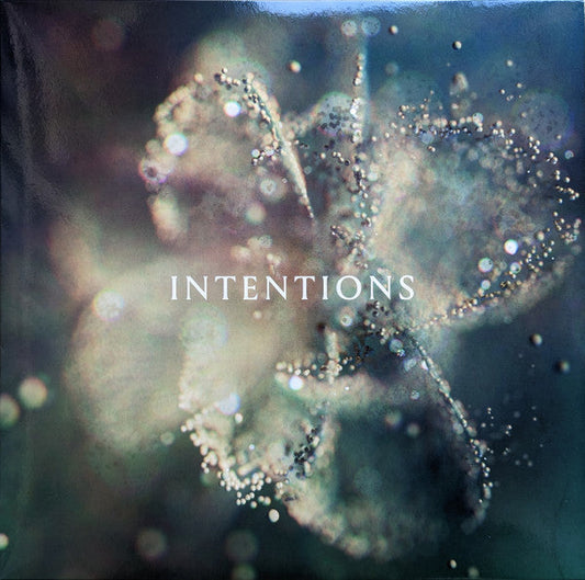 Anna- Intentions { VINYL LP }
