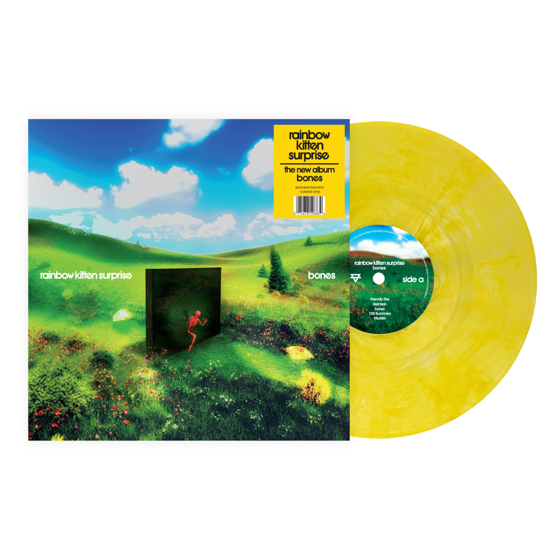 Rainbow Kitten Surprise- bones (Indie Exclusive Banana Vinyl) { VINYL LP }
