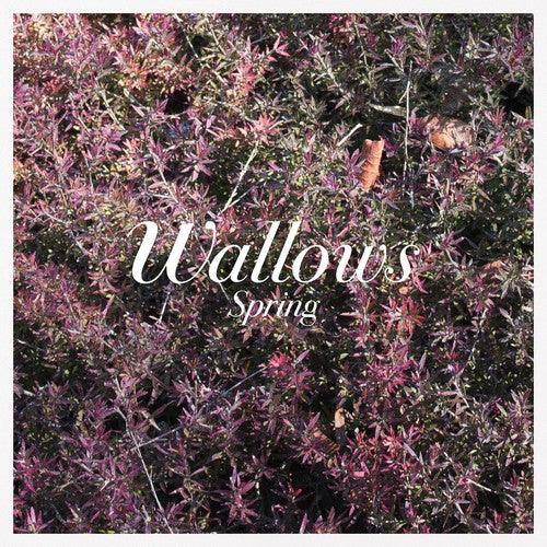 Wallows- Spring EP { VINYL LP }