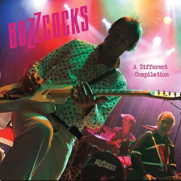 Buzzcocks- A Different Compilation (Canada - Import) { VINYL LP }
