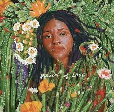 Joy Oladokun- Proof Of Life (Indie Exclusive Vinyl) (Signed Insert) { VINYL LP }