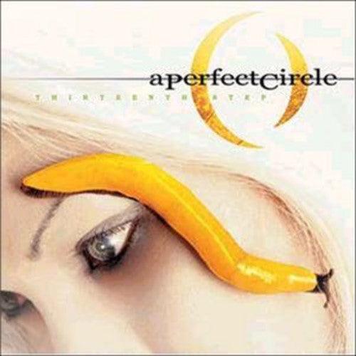 A Perfect Circle- Thirteenth Step { VINYL LP }