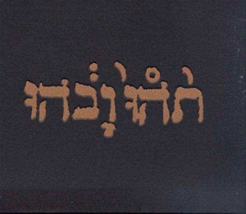 Godspeed You! Black Emperor- Slow Riot For New Zero Kanada E.P. { VINYL LP }