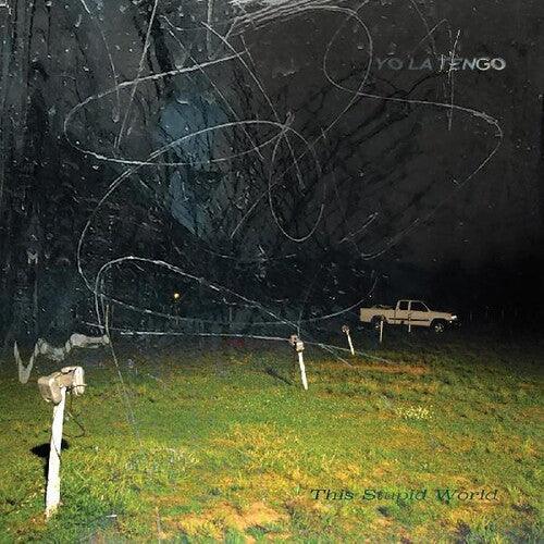 Yo La Tengo- This Stupid World { VINYL LP }