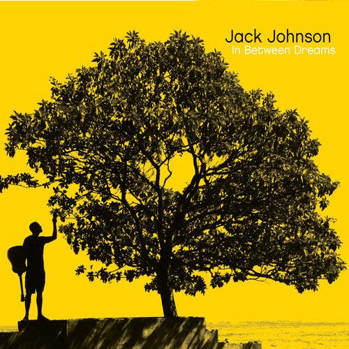 Jack Johnson- In Between Dreams { VINYL LP }